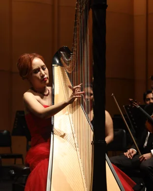 Callisto Quartet Storrs Mansfield
