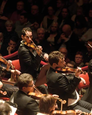 Mazzika Orchestra Boston