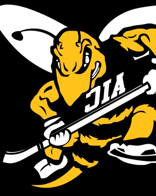 American International Yellow Jackets Springfield