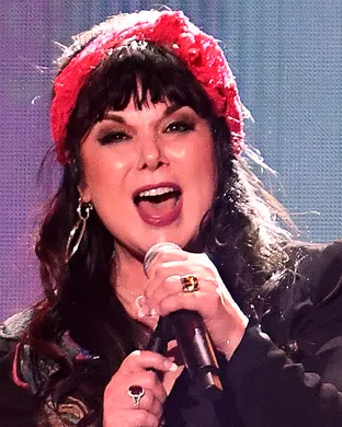 Ann Wilson Boston