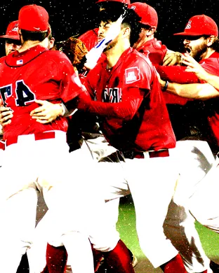 Arizona Wildcats Baseball Worcester