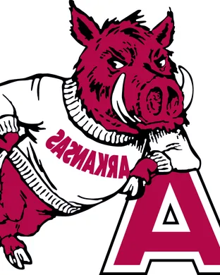Arkansas Razorbacks Worcester