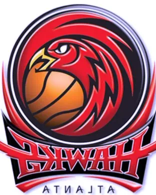 Atlanta Hawks Worcester