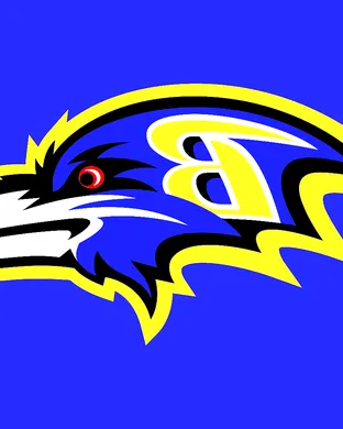 Baltimore Ravens Worcester