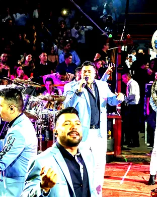 Banda MS
