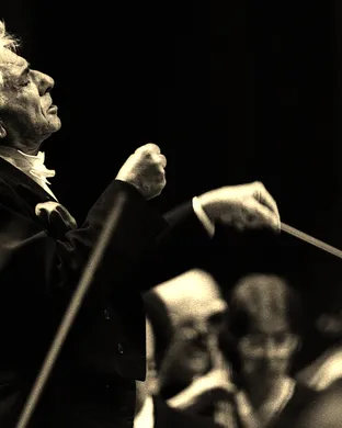 Bernstein Worcester
