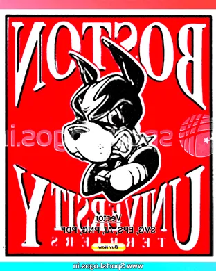 Boston University Terriers Boston