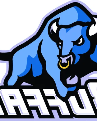 Buffalo Bulls Worcester
