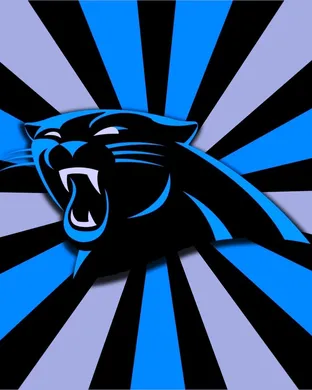 Carolina Panthers Worcester