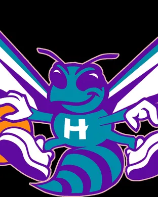 Charlotte Hornets Worcester