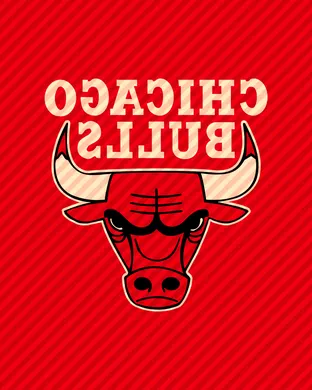 Chicago Bulls Worcester