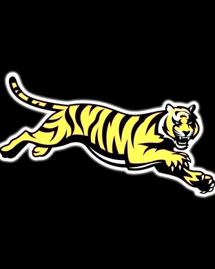 Cincinnati Bengals Worcester