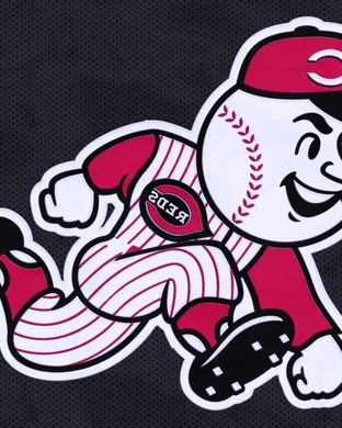 Cincinnati Reds Worcester