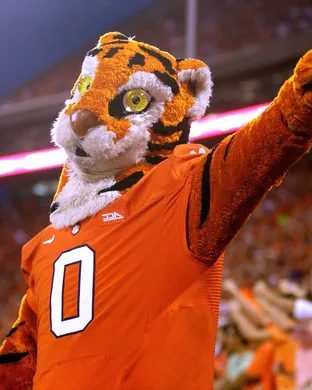 Clemson Tigers Football Worcester