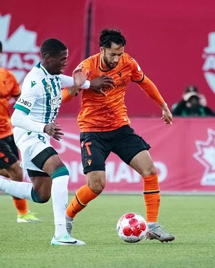 Forge FC Hamilton