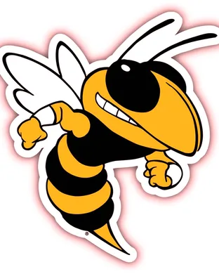 Georgia Tech Yellow Jackets Football Worcester