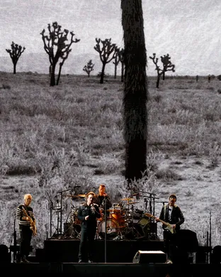 Joshua Tree