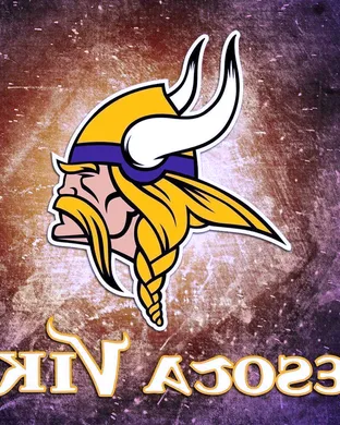 Minnesota Vikings Foxborough