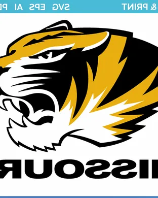 Missouri Tigers Worcester