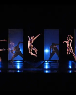 Pilobolus