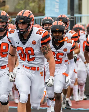 Princeton Tigers Allston