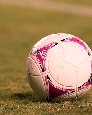 Real Salt Lake Worcester