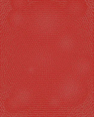 Red Leather Allston