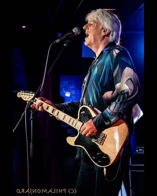 Robyn Hitchcock Allston