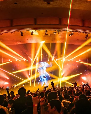 Seven Lions Worcester