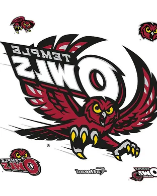 Temple Owls Worcester
