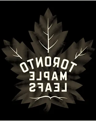 Toronto Maple Leafs Worcester