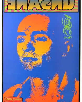 Unsane Cambridge